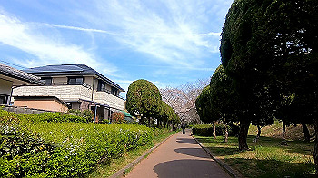gx011652.mp4_snapshot_02.06_thumb.jpg