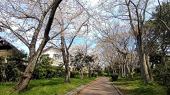 gx011652.mp4_snapshot_02.18_thumb.jpg