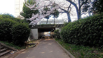 gx011652.mp4_snapshot_02.51_thumb.jpg