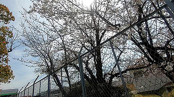 gx011652.mp4_snapshot_08.05_thumb.jpg