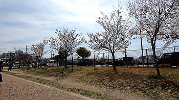 gx011654.mp4_snapshot_00.58_thumb.jpg