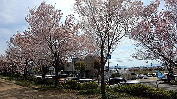 gx011654.mp4_snapshot_01.20_thumb.jpg