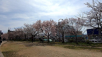 gx011654.mp4_snapshot_01.47_thumb.jpg