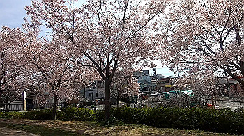 gx011654.mp4_snapshot_02.07_thumb.jpg