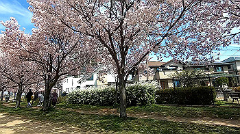 gx011654.mp4_snapshot_03.28_thumb.jpg
