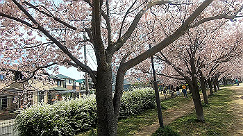 gx011654.mp4_snapshot_03.50_thumb.jpg