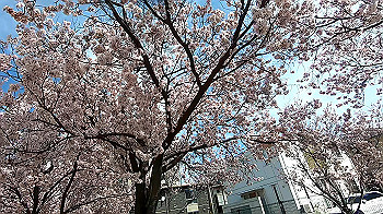 gx011655.mp4_snapshot_00.06_thumb.jpg