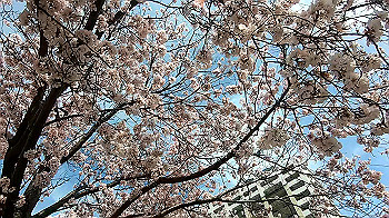 gx011655.mp4_snapshot_00.12_thumb.jpg