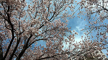 gx011655.mp4_snapshot_00.15_thumb.jpg