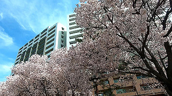 gx011655.mp4_snapshot_00.36_thumb.jpg