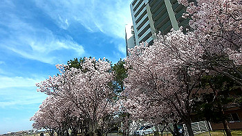 gx011655.mp4_snapshot_00.55_thumb.jpg