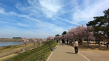 gx011655.mp4_snapshot_01.50_thumb.jpg
