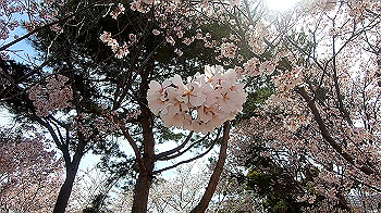 gx011655.mp4_snapshot_02.18_thumb.jpg