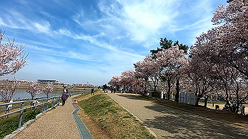 gx011656.mp4_snapshot_00.02_thumb.jpg