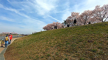 gx011656.mp4_snapshot_00.22_thumb.jpg