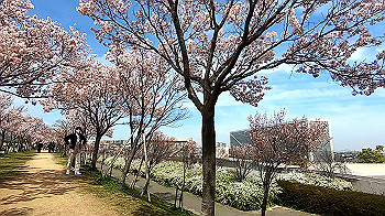 gx011657.mp4_snapshot_00.01_thumb.jpg