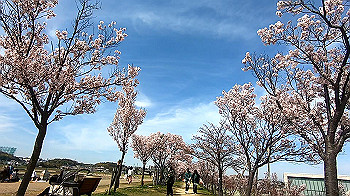 gx011657.mp4_snapshot_00.11_thumb.jpg