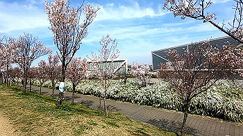 gx011657.mp4_snapshot_00.23_thumb.jpg