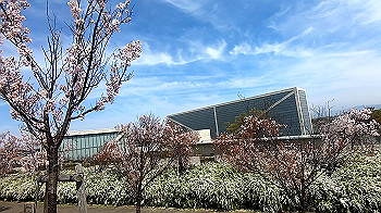 gx011657.mp4_snapshot_00.28_thumb.jpg