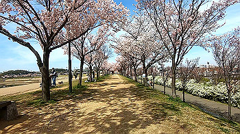 gx011657.mp4_snapshot_00.48_thumb.jpg
