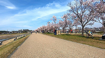 gx011657.mp4_snapshot_01.07_thumb.jpg
