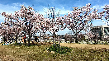 gx011657.mp4_snapshot_01.48_thumb.jpg