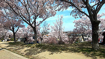 gx011657.mp4_snapshot_02.54_thumb.jpg