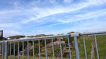 gx011658.mp4_snapshot_00.00_thumb.jpg