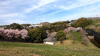 gx011658.mp4_snapshot_00.20_thumb.jpg