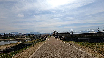 gx011659.mp4_snapshot_00.00_thumb.jpg
