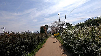 gx011660.mp4_snapshot_01.04_thumb.jpg