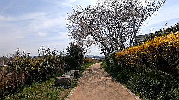 gx011660.mp4_snapshot_02.21_thumb.jpg