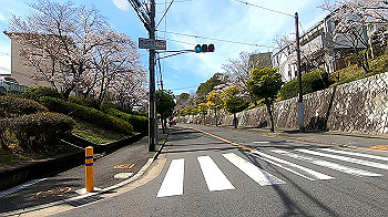 gx011663.mp4_snapshot_00.48_thumb.jpg