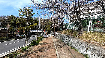 gx011663.mp4_snapshot_02.52_thumb.jpg