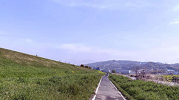 20210329_011305229_ios_thumb.jpg