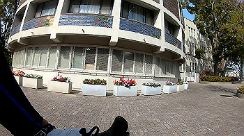 gh011732_0.1.mp4_snapshot_00.17_thumb.jpg