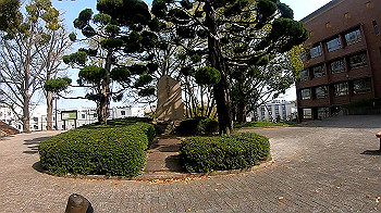 gh011732_0.1.mp4_snapshot_00.26_thumb.jpg