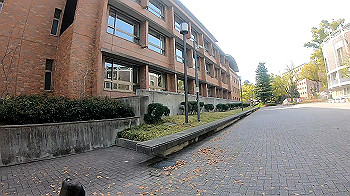gh011732_0.1.mp4_snapshot_00.44_thumb.jpg