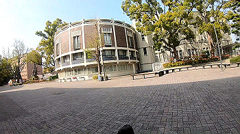 gh011732_0.1.mp4_snapshot_00.47_thumb.jpg