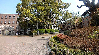 gh011732_0.1.mp4_snapshot_01.04_thumb.jpg
