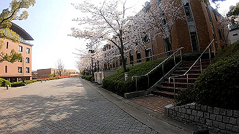 gh011732_0.1.mp4_snapshot_01.26_thumb.jpg