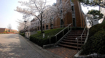gh011732_0.1.mp4_snapshot_01.27_thumb.jpg