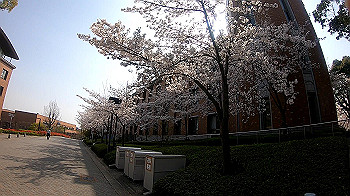 gh011733.mp4_snapshot_00.00_thumb.jpg