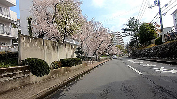 gx011664.mp4_snapshot_01.39_thumb.jpg