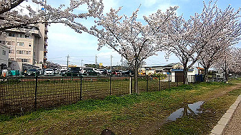 gx011665.mp4_snapshot_01.53_thumb.jpg