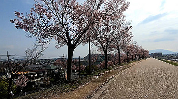 gx011665.mp4_snapshot_04.38_thumb.jpg