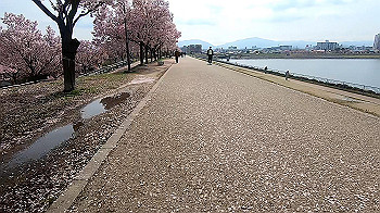 gx011665.mp4_snapshot_04.52_thumb.jpg
