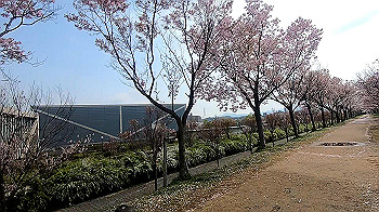 gx011665.mp4_snapshot_05.16_thumb.jpg