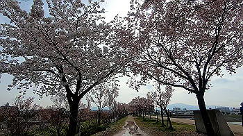 gx011665.mp4_snapshot_05.29_thumb.jpg