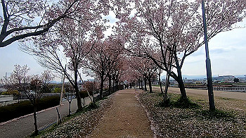 gx011665.mp4_snapshot_05.46_thumb.jpg